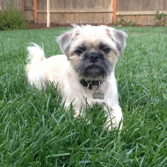 Meet your Posher, Ashley - Picture 1 of 1